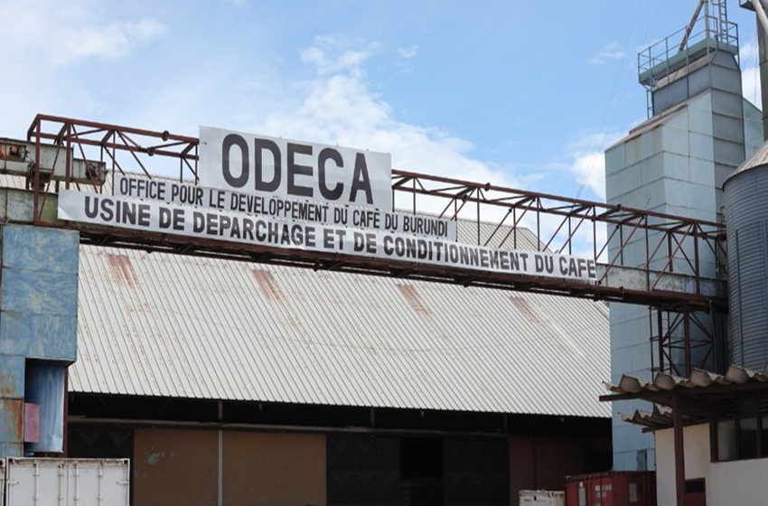 Café burundais : l’ODECA promet des solutions 